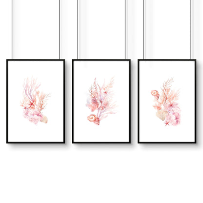Large Coastal Wall Art | Set of 3 Seashells Wall art Prints
