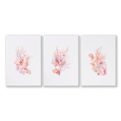 Large Coastal Wall Art | Set of 3 Seashells Wall art Prints