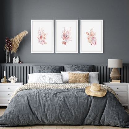 Large Coastal Wall Art | Set of 3 Seashells Wall art Prints