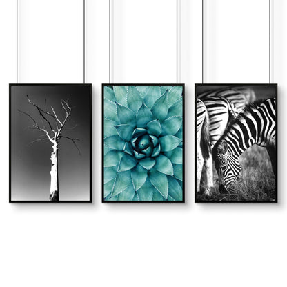 Large Picture Living Room | Set of 3 African Wildlife Wall art Prints