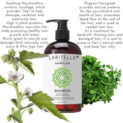 Laritelle Organic Shampoo & Conditioner – Hair Growth Support, No SLS, Gluten, Parabens