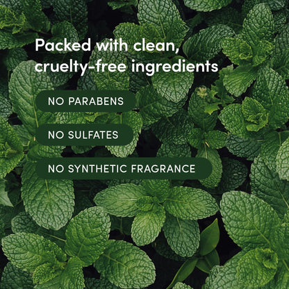 LATHER Mint Thyme Hair Wash | Daily Shampoo 8 fl oz – Hotel-Quality, Vegan & Cruelty-Free