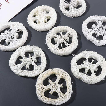 Leadigol Natural Loofah Slices – 10-Pack, 2 Inch, 5-7 cm Dia, 1 cm Thick, Body Scrub, Dishwashing & Soap Dish