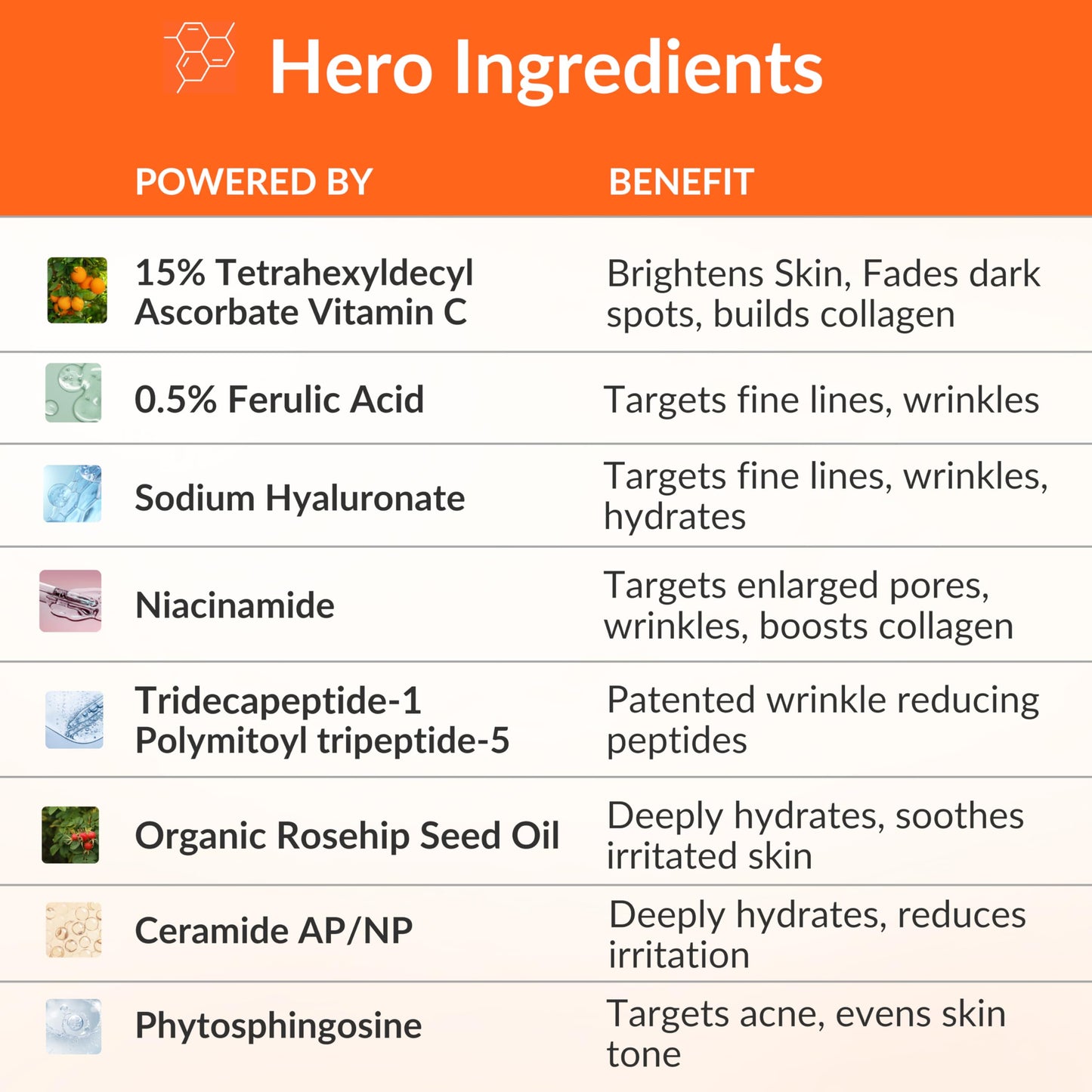 LeVaye Vitamin C Serum – 15% Vitamin C with Ferulic Acid, Niacinamide & Hyaluronic Acid