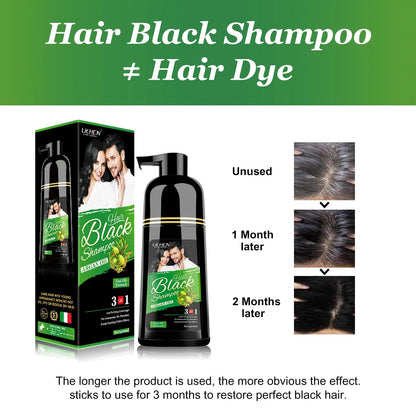 Lichen Professional Hair Dye Shampoo – 3-in-1 Herbal Color for 100% Grey Coverage – Ammonia-Free, 400ml (Black)