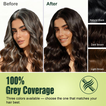 Limer Hair Dye Shampoo Dark Brown - PPD-Free & Ammonia-Free, 6-in-1 Herbal Color for Gray Coverage (6.76 fl oz/200 ml)