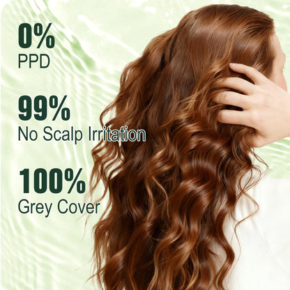 Limer Hair Dye Shampoo Natural Black Color — PPD-Free & Ammonia-Free, 6-in-1 Herbal Formula