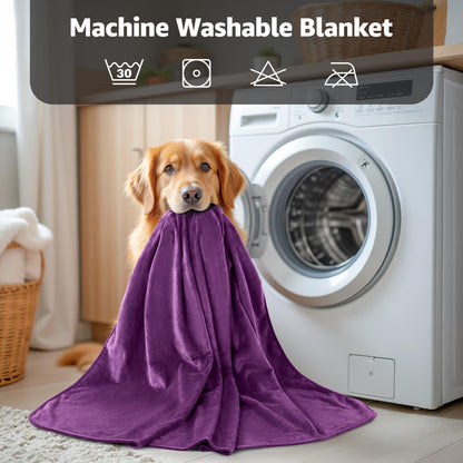 LOOBANI Waterproof Blanket for Bed - Reversible Flannel Twin 60x80, Purple