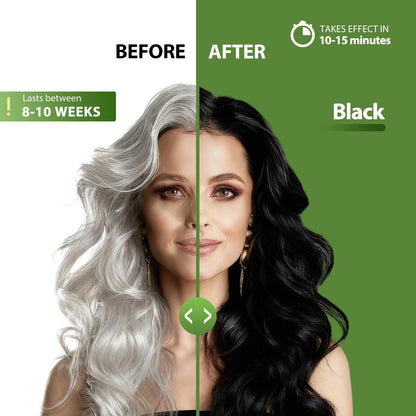 Lunory Black Hair Dye Shampoo – 3-in-1 Color, 100% Gray Coverage, Ammonia & Paraben Free (500ml)