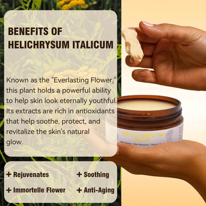 Luzia Glo Helichrysum Healing Balm – Ultra-Repair Skin Salve for Scars & Dry Skin