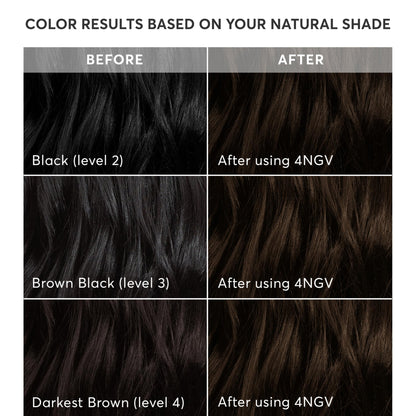 Madison Reed Radiant Color Kit Venezia Brown 4NGV – Darkest Golden Brown with Warm Tones, Gray-Blending, 2-Pack (Ammonia-Free & PPD-Free)
