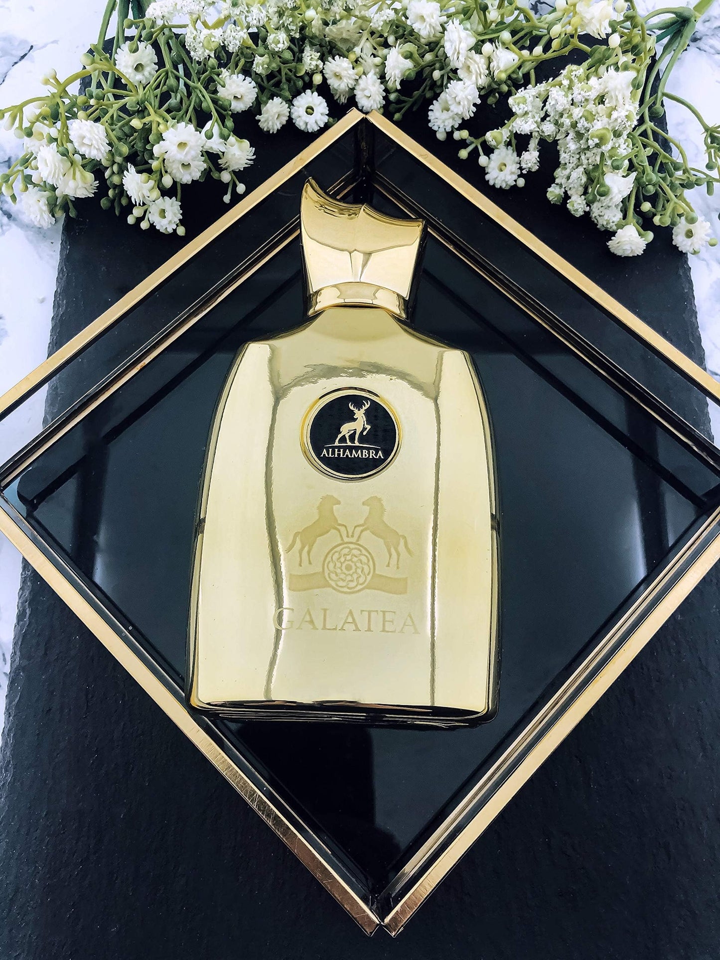 Galatea by Maison Alhambra for Men - 3.4 oz EDP Spray