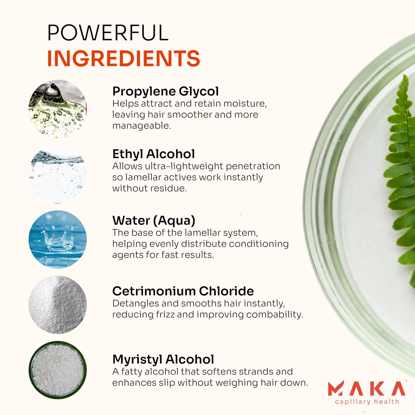 MAKA Essentials Lamellar Water Conditioner – 8 Oz for Instant Smooth, Soft Hair