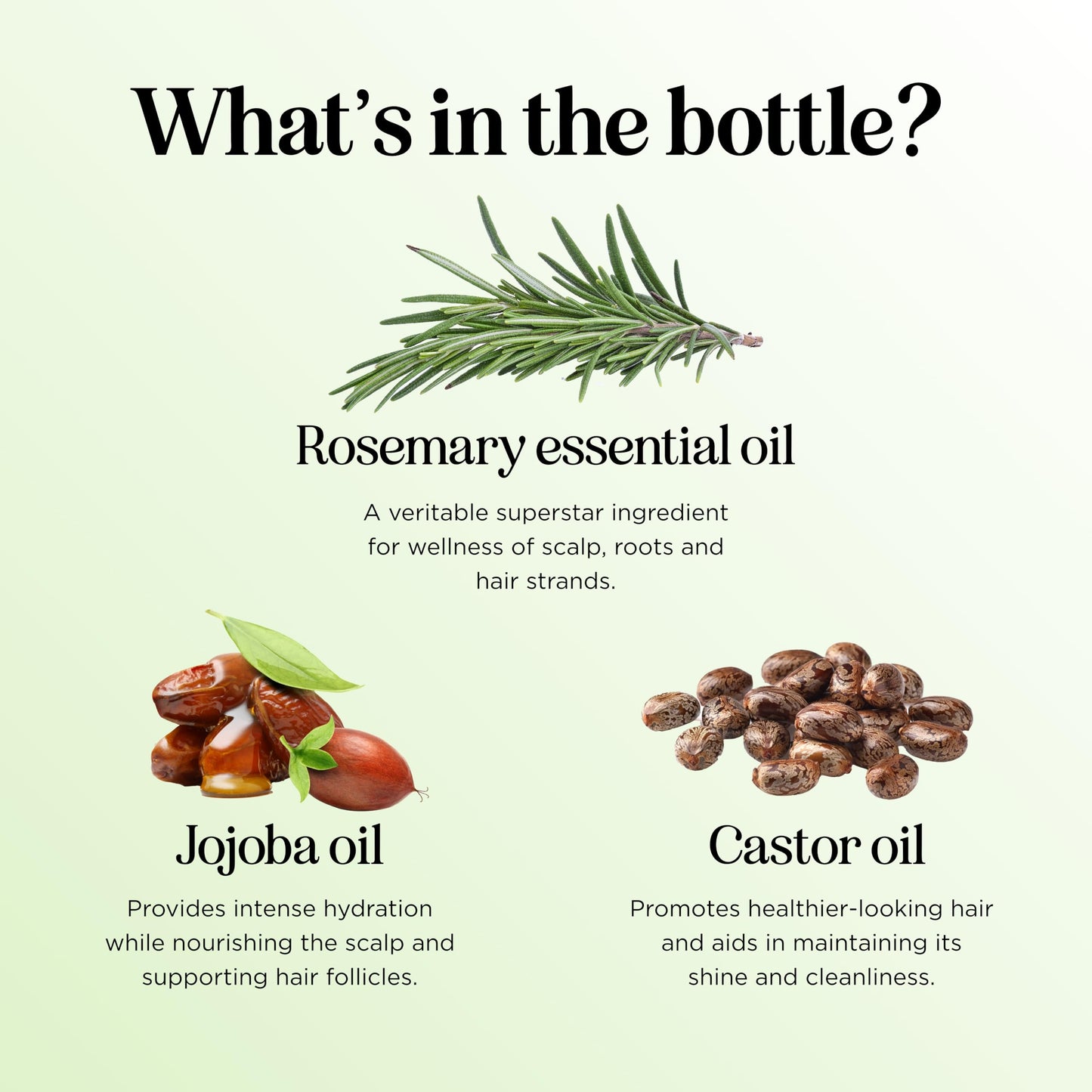 Maple Holistics Volumizing Rosemary Hair Oil Serum – Lightweight Scalp & Hair Moisturizer