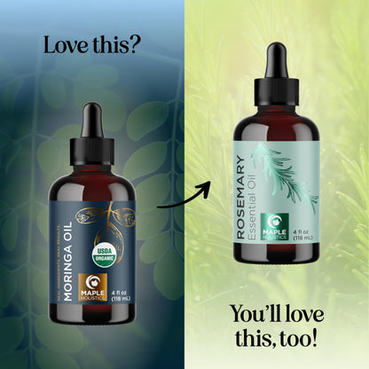 Maple Holistics Organic Moringa Oil – Cold-Pressed Virgin Carrier Oil for Hair, Skin & DIY Blends | USDA Organic