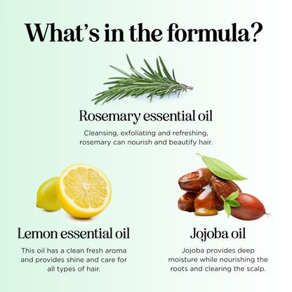 Maple Holistics Clarifying Shampoo for Oily Hair and Scalp | Deep Cleansing with Rosemary Oil | Vegan, Color Safe, Sulfate & Paraben Free (12 fl oz)