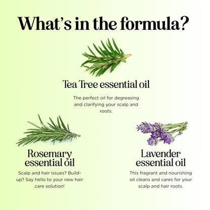 Maple Holistics Clarifying Shampoo for Build Up & Oily Hair – Tea Tree & Rosemary