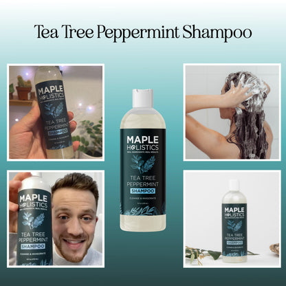 Maple Holistics Rosemary Tea Tree Mint Shampoo – Clarifying & Sulfate-Free for Dry Scalp (8 oz)