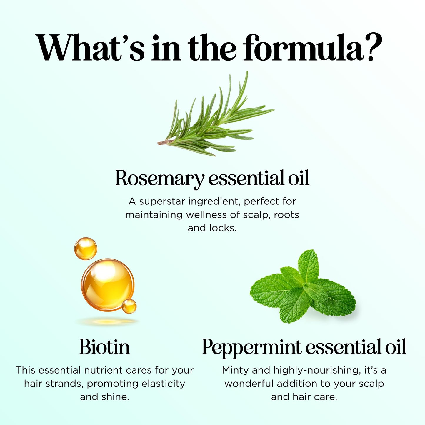 Maple Holistics Rosemary Water Spray for Hair & Scalp | Biotin Rice Water, Peppermint, Ginseng | Vegan & Cruelty-Free (8 fl oz)
