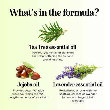Maple Holistics Tea Tree Conditioner for Dry Hair — Sulfate-Free Nourishing Formula