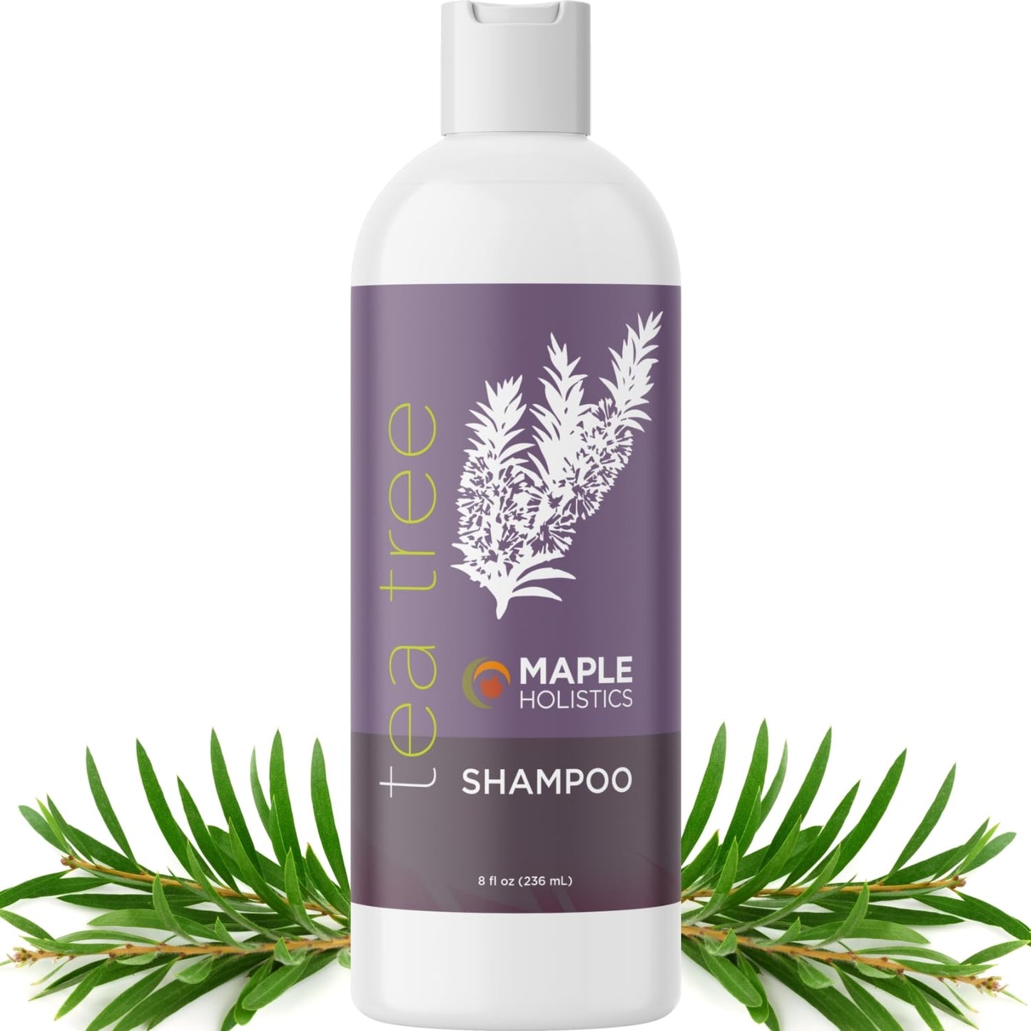 Maple Holistics Tea Tree Shampoo for Oily Hair - Clarifying, Sulfate & Paraben Free
