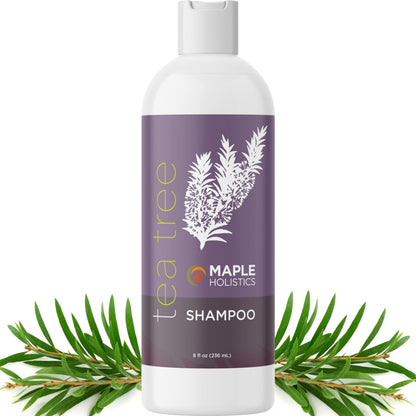 Maple Holistics Tea Tree Shampoo for Oily Hair - Clarifying, Sulfate & Paraben Free