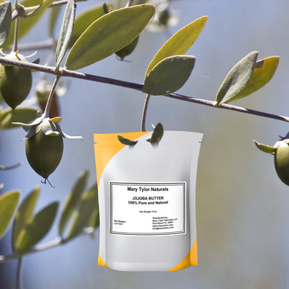 Mary Tylor Naturals Jojoba Butter (8 oz) – 100% Pure, Unrefined, Premium Grade