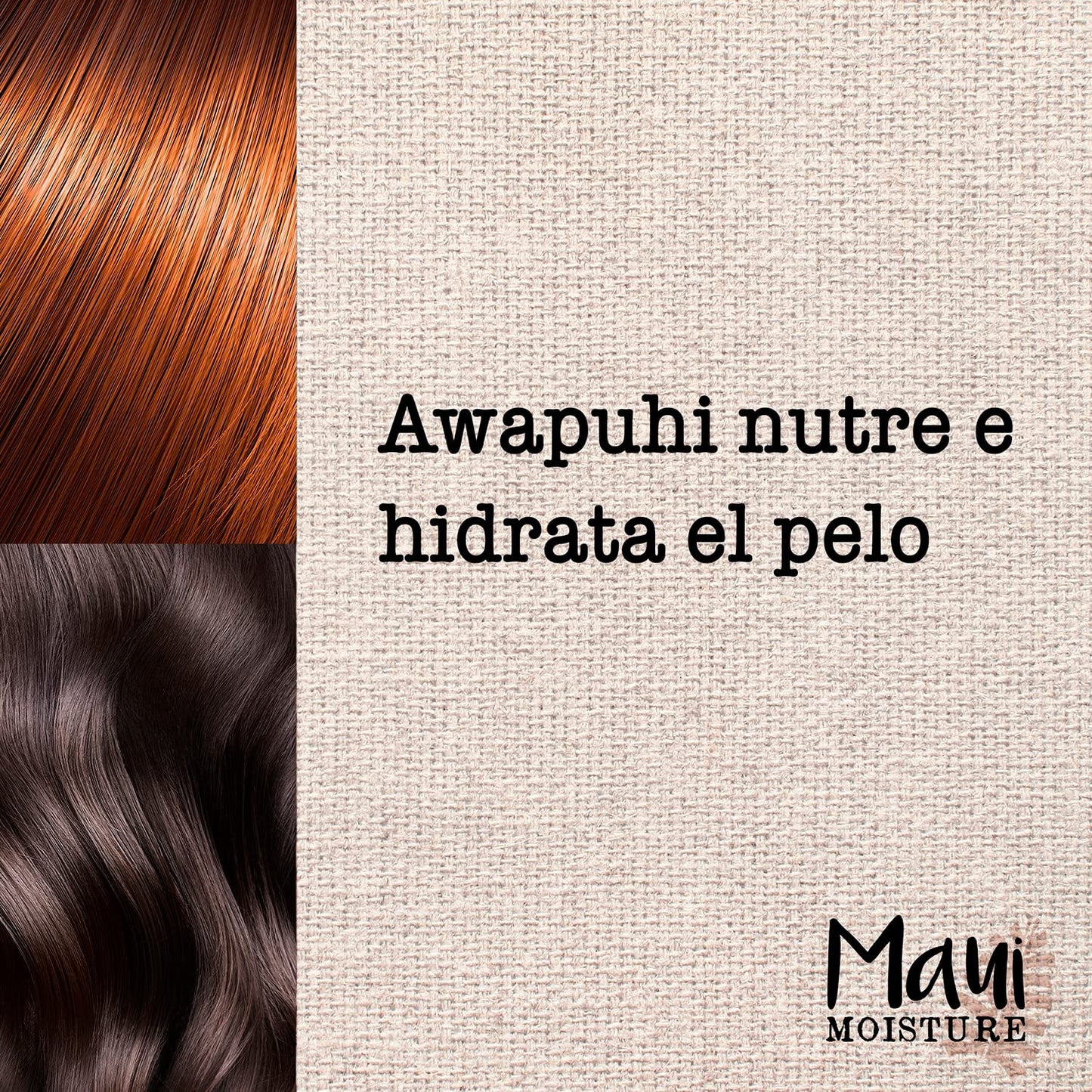 Maui Moisture Shine + Awapuhi Moisturizing Vegan Conditioner – Silicone & Sulfate Free, Aloe Base, Coconut Water, 13 oz