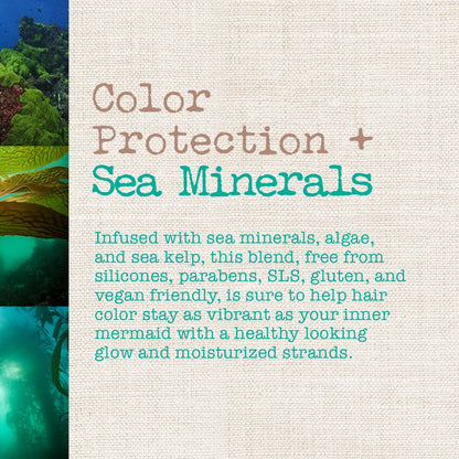 Maui Moisture Color Protect + Sea Minerals Conditioner — Color-Safe Hydration | 13 Fl Oz