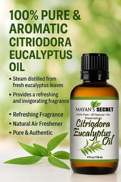 Mayan's Secret Citriodora Eucalyptus Oil – Pure Carrier & Essential Oil, 4oz
