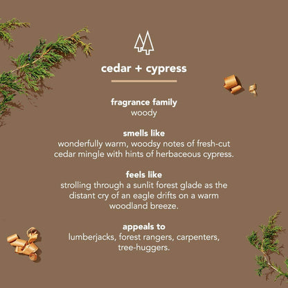 Method Mens Aluminum-Free Deodorant Cedar & Cypress – 2.65 oz Sticks (6-Pack)