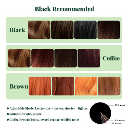 MIBYLEN Lash & Brow Color Kit with Olive Oil (Coffee) – Safe, Long-Lasting DIY Salon Results