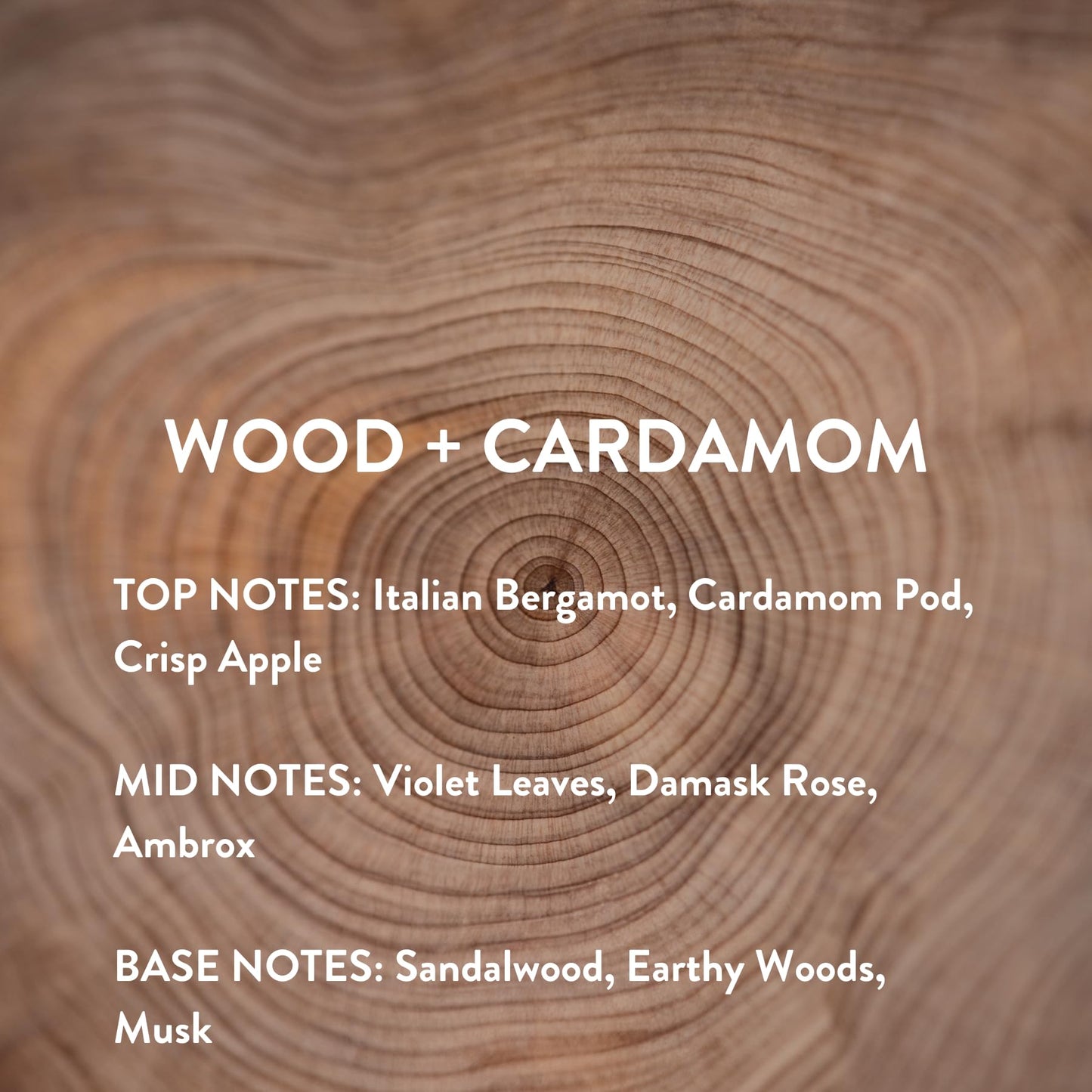 Michael Malul Wood + Cardamom – 10ml Travel Size Fragrance