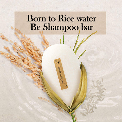 mimosu Fermented Rice Water Shampoo Bar – 2-Pack | pH Balanced, Unscented