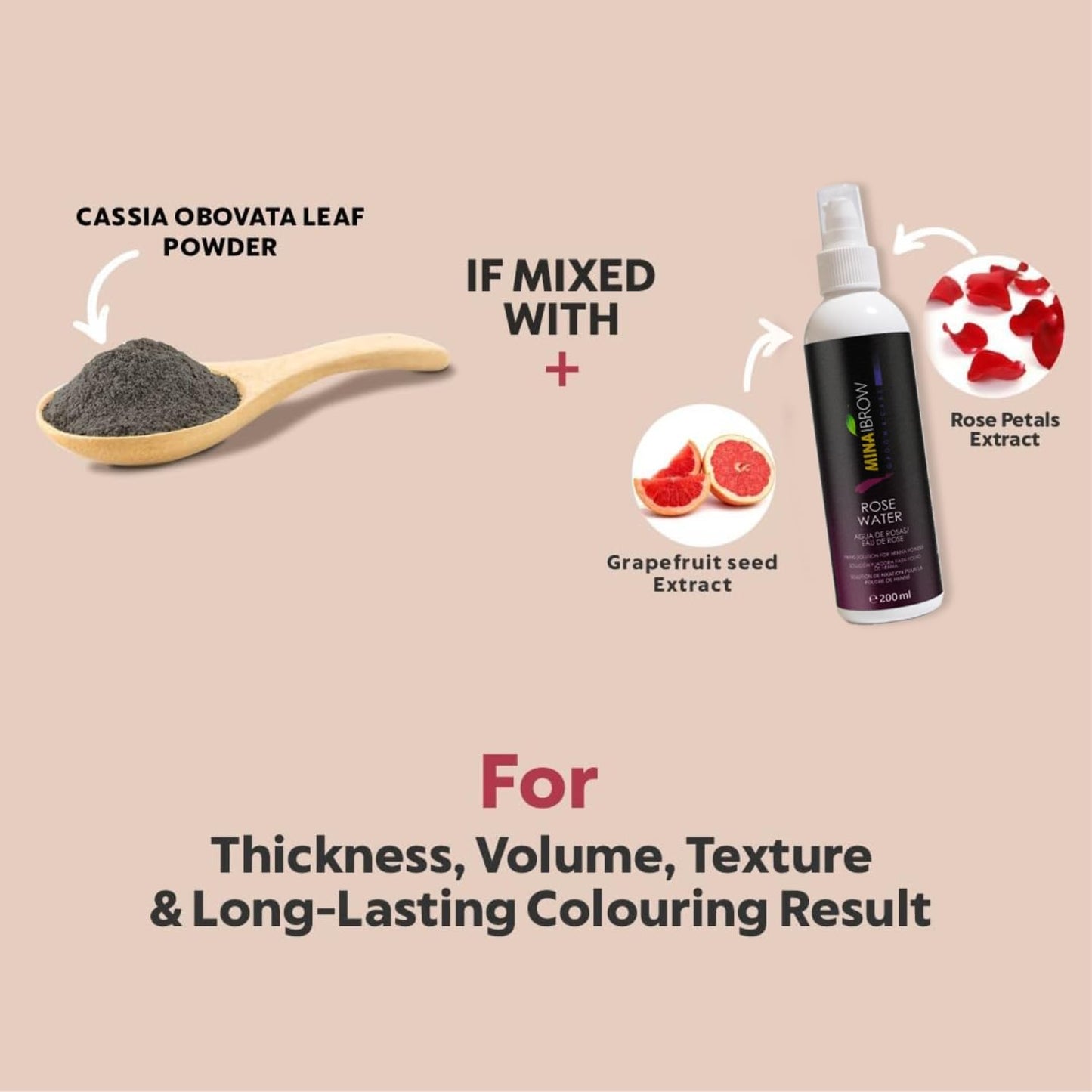 MINA iBrow Henna Hair Color Kit Graphite – Ammonia Free, Cruelty Free, Up to 6 Weeks | MinaiBrow