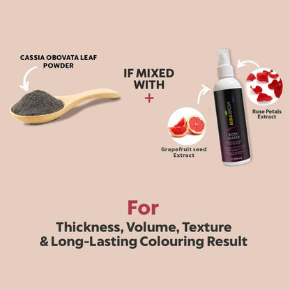 MINA iBrow Henna Hair Color Kit Graphite – Ammonia Free, Cruelty Free, Up to 6 Weeks | MinaiBrow