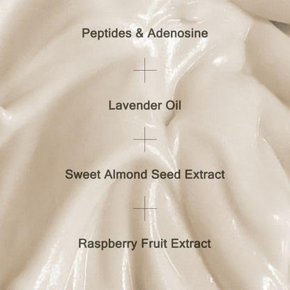 MIZON Peptide Ampoule Face Cream with Adenosine and Lavender Oil – Moisturizing, Fine Line Treatment (1.69 oz)