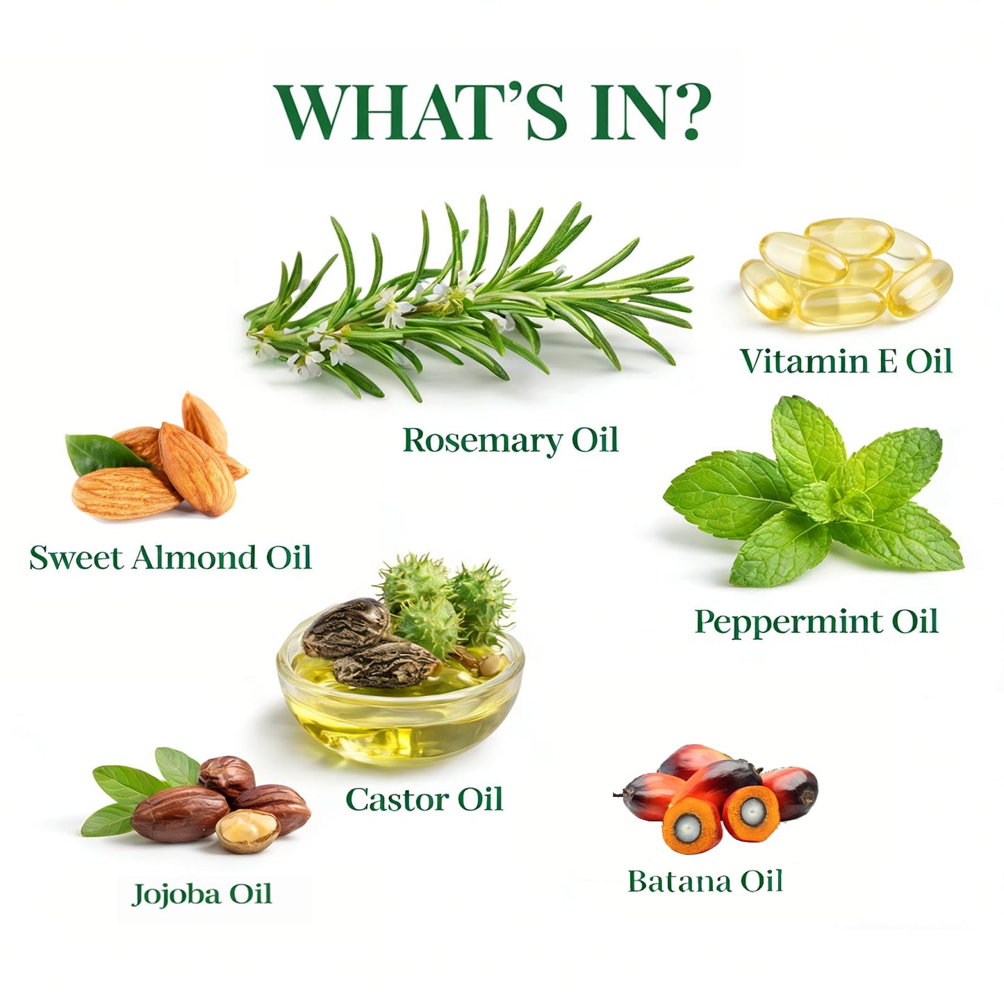MMPANG Rosemary Oil for Hair Growth – USDA Certified Cold-Pressed with Castor & Peppermint, 4 FL OZ