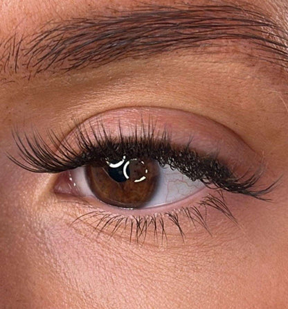 Moira - 3D 'D' Curl Lash Ribbons®