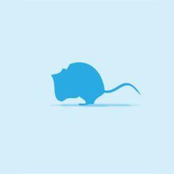 Monkfield Mouse Large 20-30g, 5pack