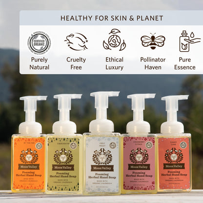 Moon Valley Organics Herbal Foaming Hand Soap – First Frost, Vegan, Recyclable Bottle (2-Pack)