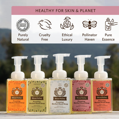 Moon Valley Organics Herbal Foaming Hand Soap – Cranberry Citrus, Vegan, Recyclable Bottle (2-Pack)