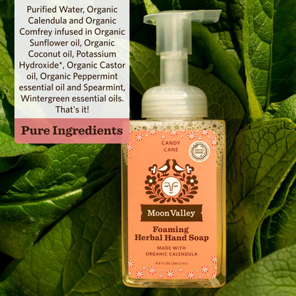 Moon Valley Organics Herbal Foaming Hand Soap – Candy Cane, Vegan & Recyclable Bottle (Two-Pack)