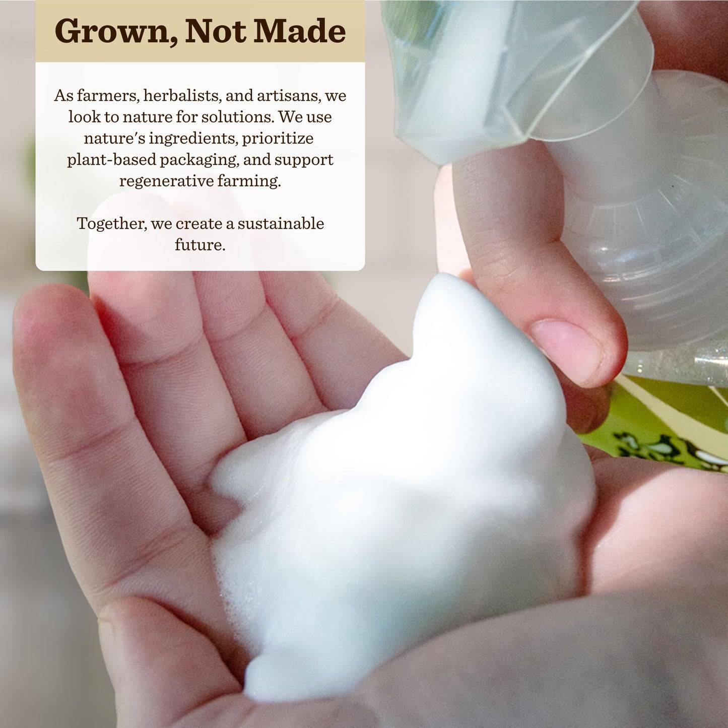 Moon Valley Organics Herbal Foaming Hand Soap – Unscented 2-Pack, Vegan & Recyclable Bottle