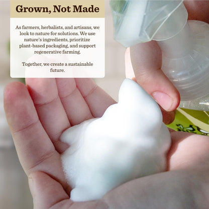 Moon Valley Organics Herbal Foaming Hand Soap – Unscented 2-Pack, Vegan & Recyclable Bottle