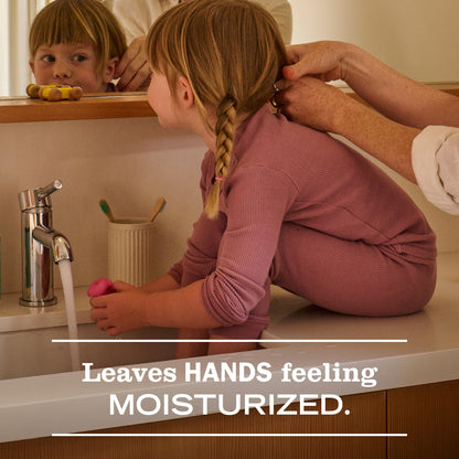 Mrs. Meyer's Clean Day Holiday Hand Soap Set - Gingerbread, Peppermint, Snowdrop and Iowa Pine