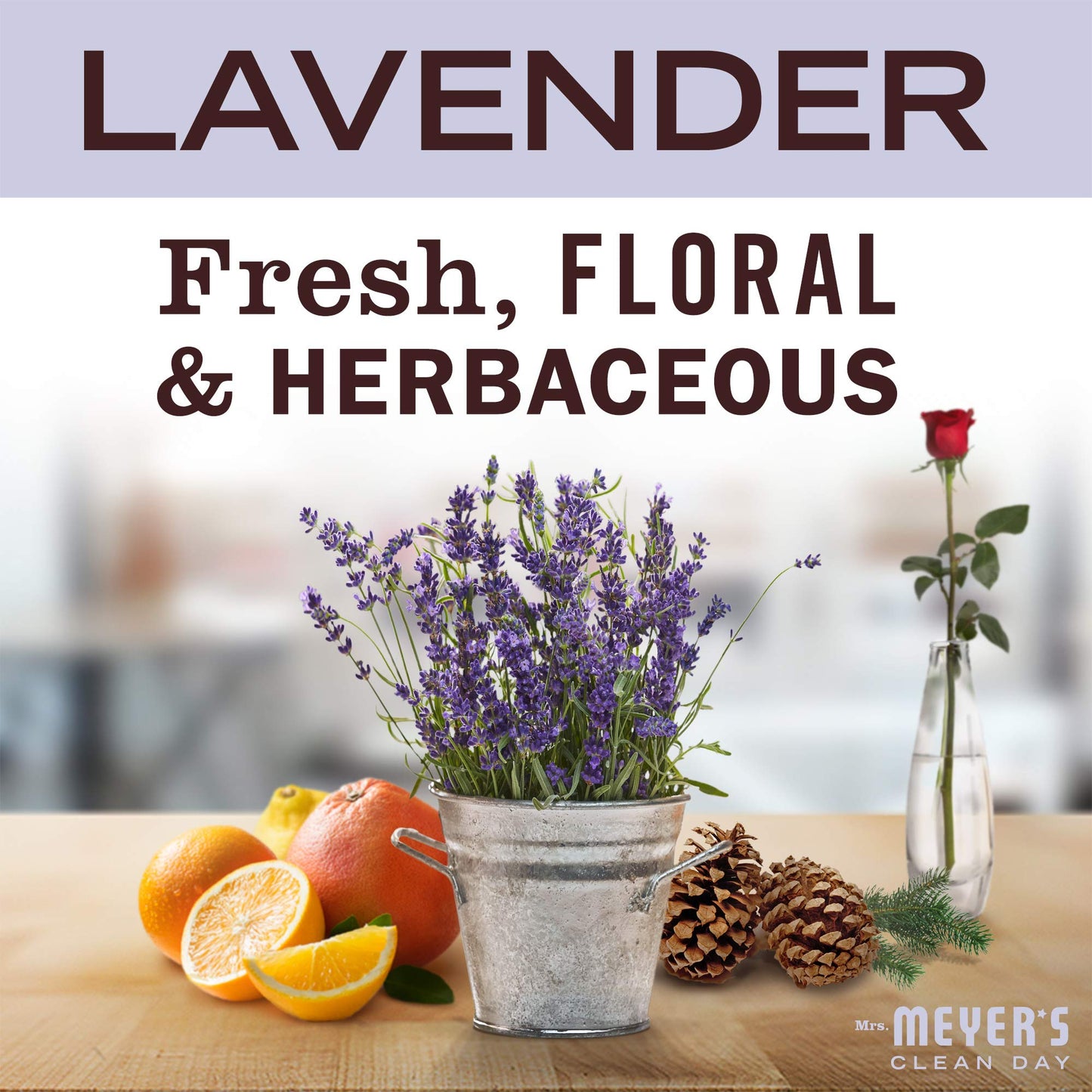 Mrs. Meyer's Clean Day Lavender Body Lotion – Long-Lasting Moisturizer, Cruelty-Free