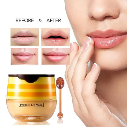 MULPG 6-Piece Bee Lip Balm Honey Pot Set – Propolis Lip Mask, Moisturizing & Night Lip Care