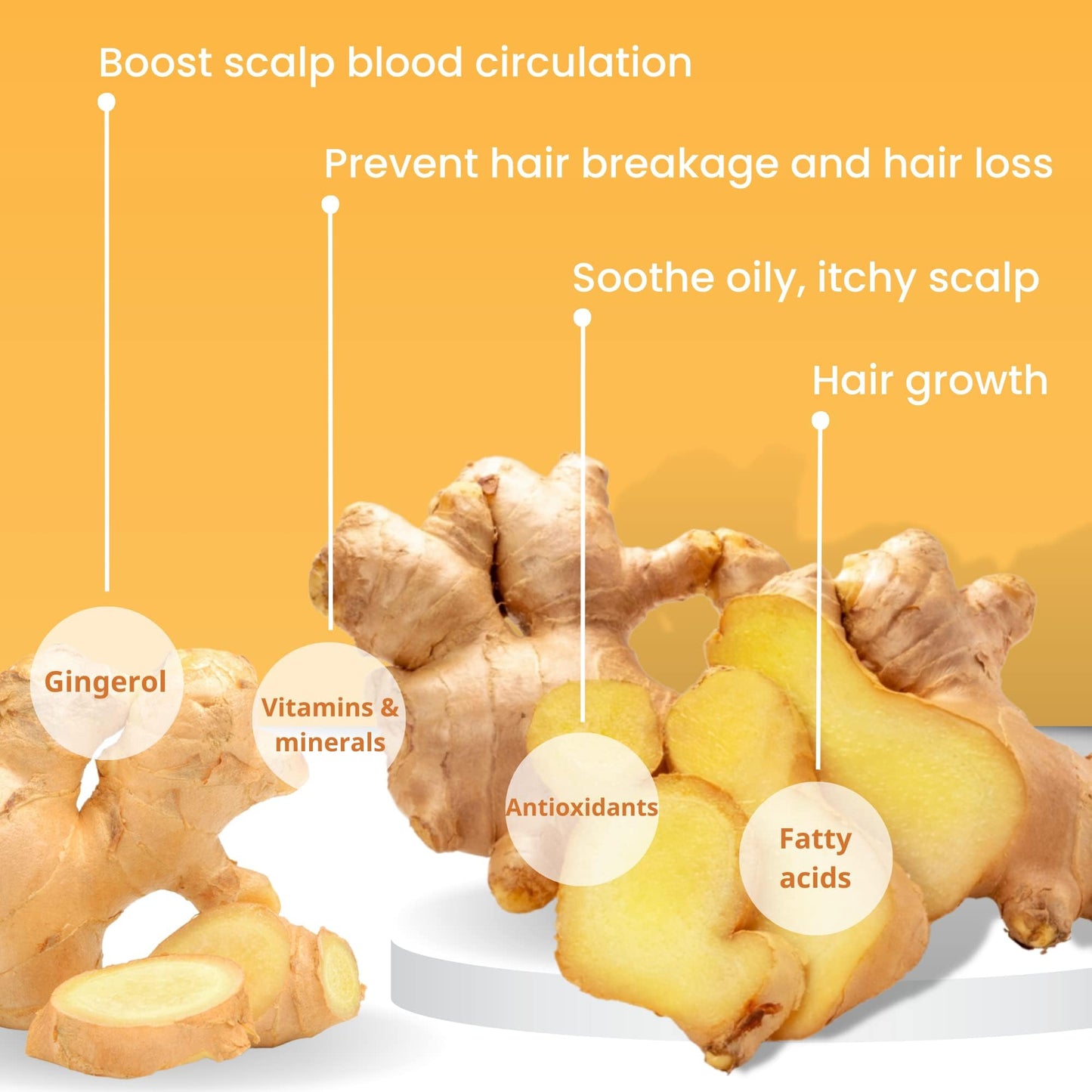 Muun Ginger Shampoo Bar Pack 3 – pH-Balanced, Sulfate-Free, Travel-Ready for Hair Growth & Strength