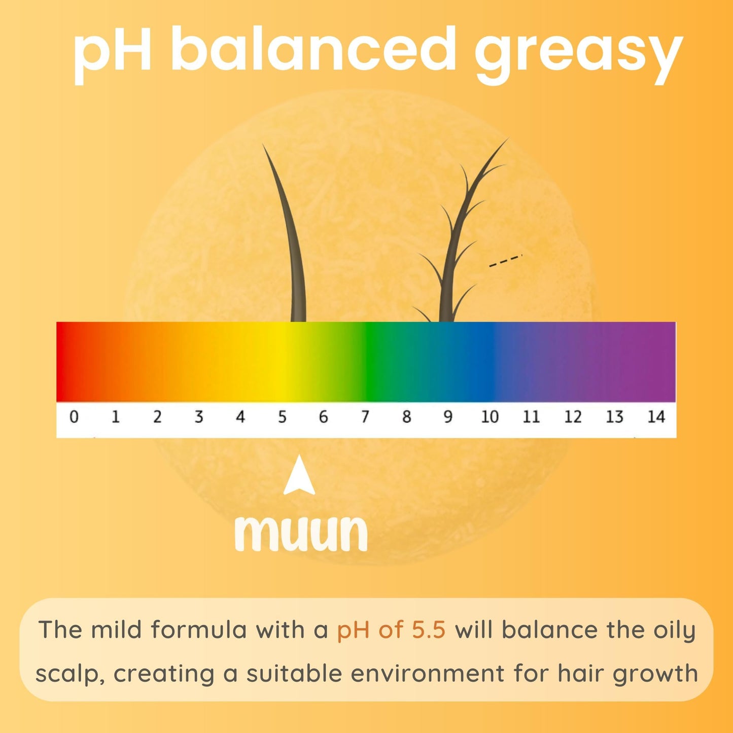 Muun Ginger Shampoo Bar Pack 3 – pH-Balanced, Sulfate-Free, Travel-Ready for Hair Growth & Strength